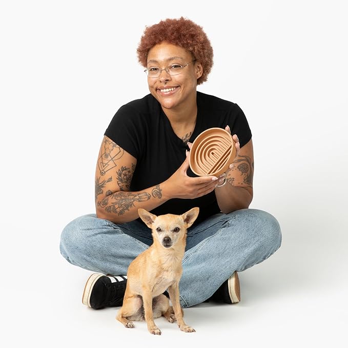 Should We Go? Slow Feeder for Dogs & Cats, The Slowdown Bowl Silicone Slow Eating Mealtime Solution with Modern Lick Mat Design, Reduces Gulping, Fits 1 Cup, 6” Across x 1.25” Tall, Small-Terracotta