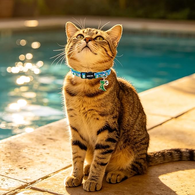 ARING PET 2 Pack Cat Collars with Bell, Cute Summer Soft Cotton Kitten Kitty Breakaway Cat Collars for Boy Girl Cats-Dinosaur & Duck