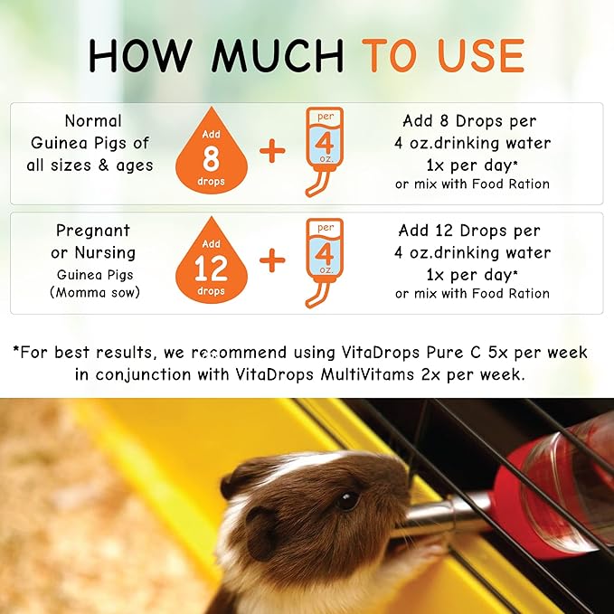 Oasis #80254 Vita Drops-Pure C for Guinea Pig,2-Ounce,Packaging May Vary,(Pack of 2)
