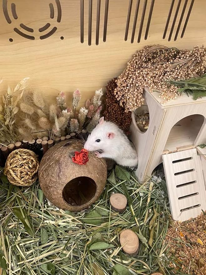Large Hamster Maze Wood House Fun Slide House Guinea Pig Hamsters Hide Out Climbing Ladder Wooden Funny Play Toy Chew Two Layers Hut for Small Animal Rat Mouse Hideout Dwarf Gerbil Syrian Pet