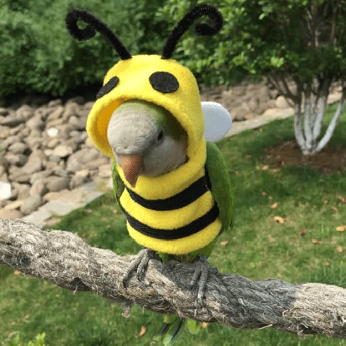 Bird Costume Diaper Flight Suit Bee Shape Clothes Cosplay Photo Prop for Parrots Lovebird Budgie Parakeet Cockatiel Sun Conure, Small Animals Apparel (Bee Without, Small), Green, BPF1