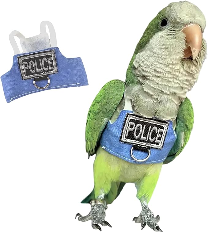 Bird Flight Harness Vest, Parrot Flight Suit with Leash, Bird Flying Clothes with Rope and Handle for Outdoor Activities (Without Leash,Cockatiel) (Without, L)
