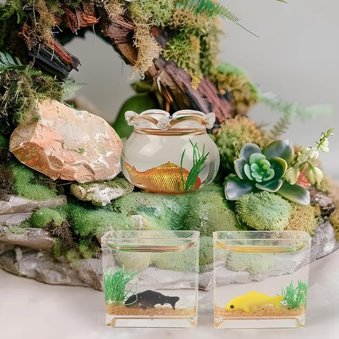 4Pcs Mini Size Fish Bowl Set, The Round and Square Glass Fishbowl, Miniature Landscape Accessories Home Decor Supplies