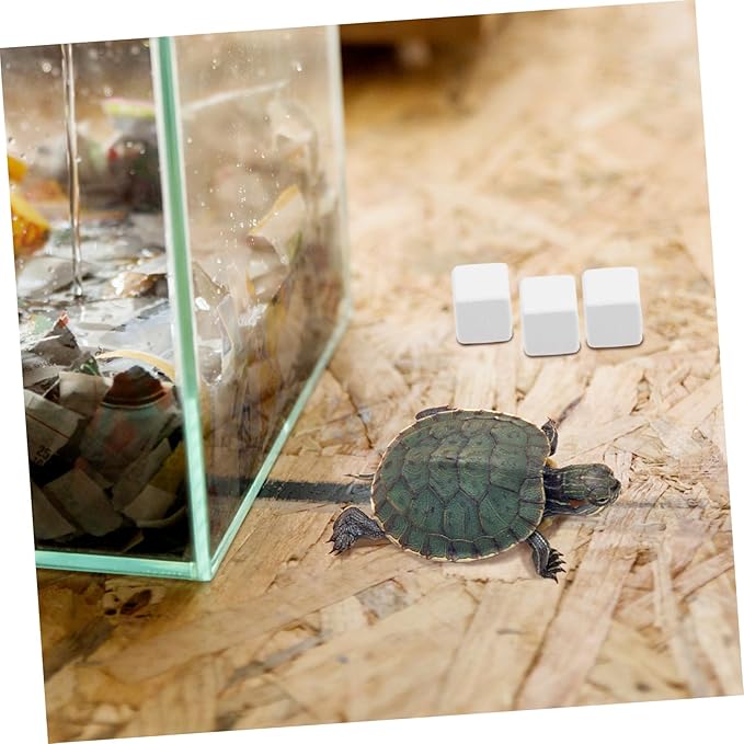 BESPORTBLE 6pcs Mineral Block Chew Toy for Birds Reptiles Turtles Pets Nutrient Source for Health Digestion and Immune Support