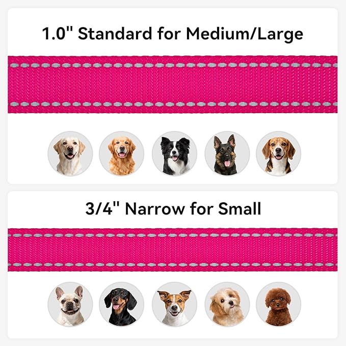 Joytale Dog Leash, 4 FT Double-Sided Reflective, Padded Handle Nylon Heavy Duty Leashes for Medium & Large Dogs Walking, Hotpink