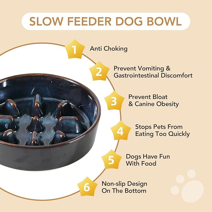 Havniva Slow Feeder Dog Bowls, 1.2 Cups Ceramic Dog Food Bowls 7.3 inch Slow Feeder for Small Dogs Puzzle Bowls for Fast Eater, Pet Slow Feeding Dish Anti-Choking