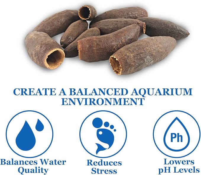 6PCS Betta Leaf Indian Almond Leaves Catappa Leave Aquarium Decor for Fish Shrimp Goldfish Guppy Frogs Chelonian(6PCS Dibaguo)
