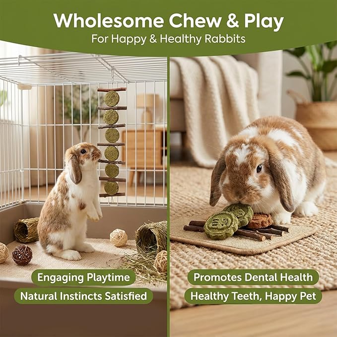 MAQIHAN Rabbit Chew Toys for Teeth -Bunny Treats for Dental Grinding Natural Apple Wood Sticks Timothy Hay Cake Lollipop Enrichment for Rabbit Cage Chinchilla Toys Guinea Pig Gerbil Rat Cage 4PCS