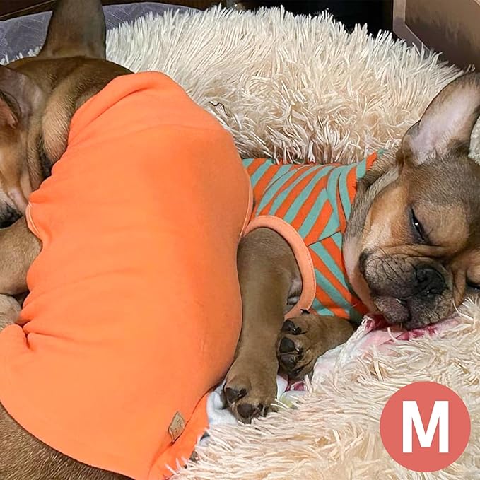 KYEESE 2Pack Dog Sweater Turtleneck Small Pets Sweaters Pullover Pet Sweatshirt Stretchy Dogs Clothes Soft Pets Clothes Warm Pet Coats Dog Sweaters for Small Dogs Male