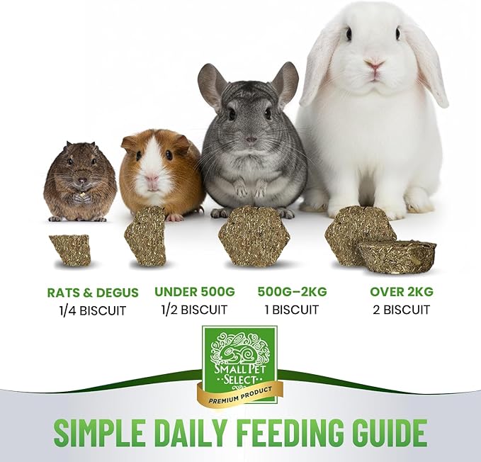 Small Pet Select - Select Care Vitamin C Support Supplement, Natural High Fiber Timothy Hay Based Treats for Rabbits, Guinea Pigs, Hamsters, Other Small Animals, 4.2 oz