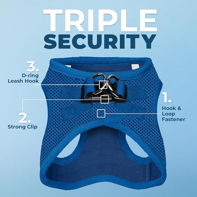 Best Pet Supplies Voyager Step-in Air All Weather Mesh Harness and Reflective Dog 5ft Leash Combo with Neoprene Handle, for Small, Medium and Large Breed Puppies - Royal Blue, X-Large