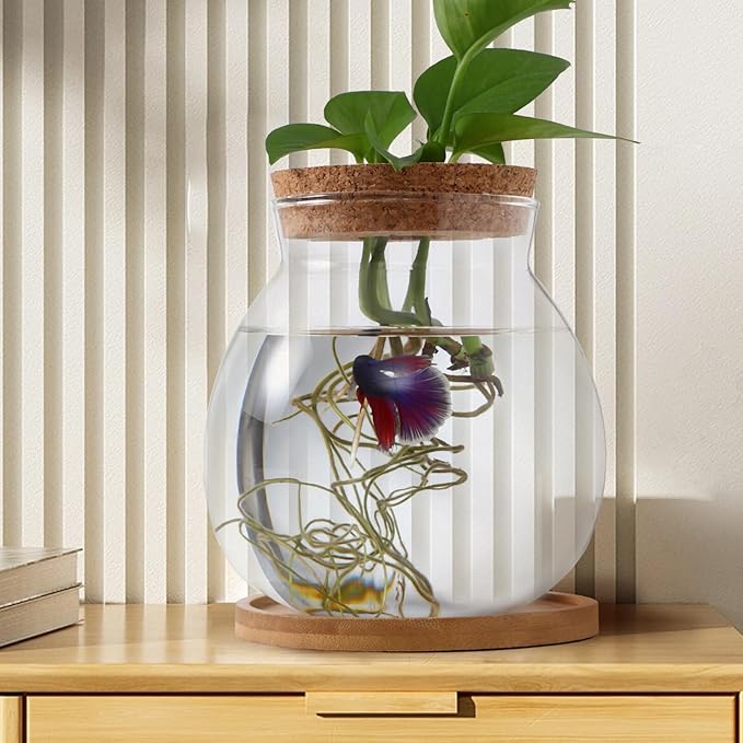 Beavorty Desktop Fish Tank Small Glass Fish Bowl with Cushion 5.51X5.11X1.18In Hydroponic Plant Terrarium Betta Bowl for Home Office Decoration