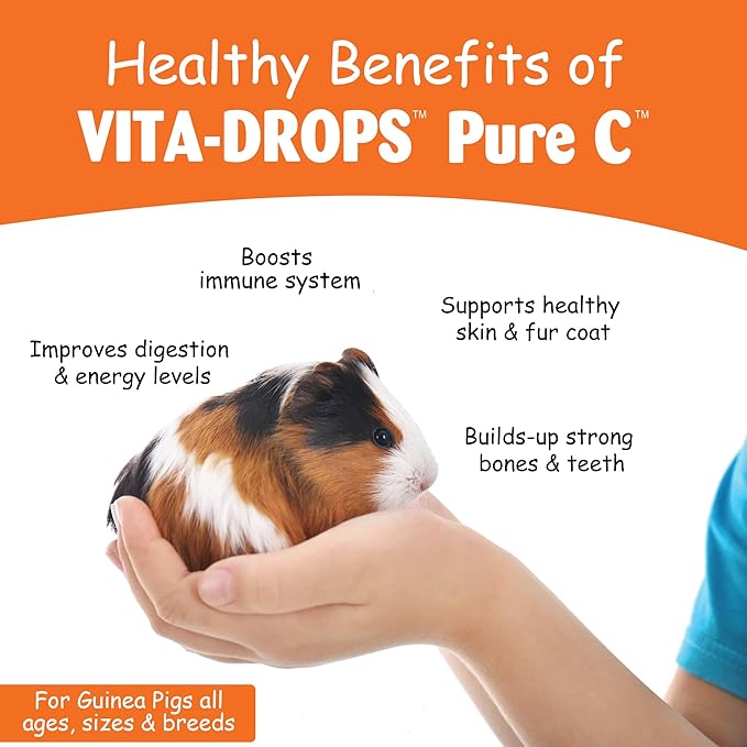 Oasis #80254 Vita Drops-Pure C for Guinea Pig,2-Ounce,Packaging May Vary,(Pack of 2)