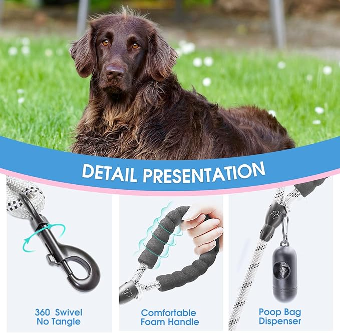 BAAPET 2/4/5/6 FT Dog Leash with Comfortable Padded Handle and Highly Reflective Threads for Small Medium and Large Dogs (6FT-1/2'', Silver)