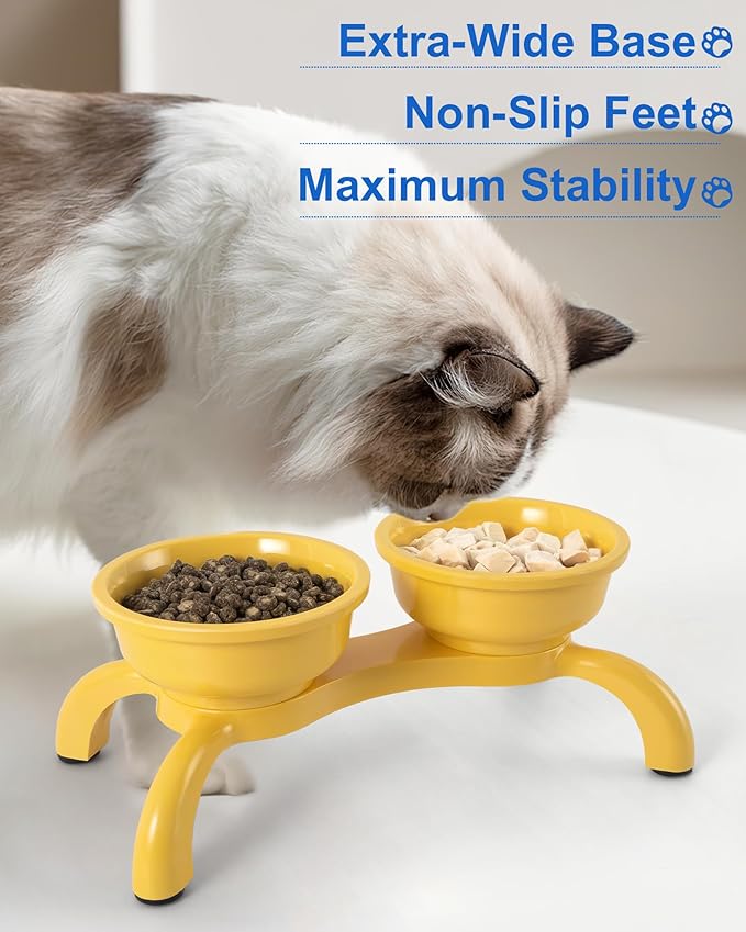Raised Cat Bowl with Anti-Ant Hollow Base, Detachable Melamine Elevated Cat Bowls, Anti-Vomiting Whisker Friendly Cats Dish for Food, Stable & Non-Slip Cats Food Bowl, Dishwasher Safe