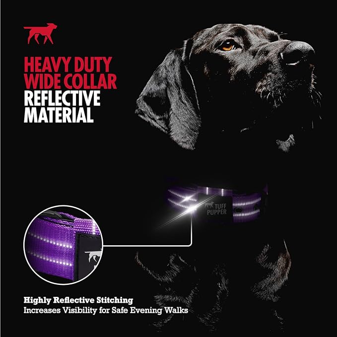 Tuff Pupper Heavy Duty Tactical Dog Collar | 1.5" Wide Ballistic Nylon | Reflective Stitching | Integrated ID Tag Holder | Stainless Steel Buckle | Padded Lining | Medium & Large Dogs (Purple, Medium)