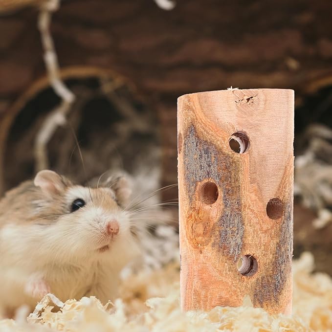 BESPORTBLE 3Pcs Apple Wood Chew Sticks for Animals Natural Teething for Hamsters Guinea Pigs Rabbits Chinchillas Durable Molar Treats for Healthy Teeth and Digestion