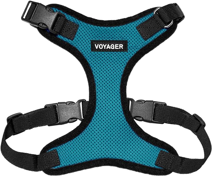 Voyager Step-in Pet Harness - All Weather Mesh, Adjustable Step in Harness for Cats and Dogs by Best Pet Supplies - Turquoise/Black Trim, XS