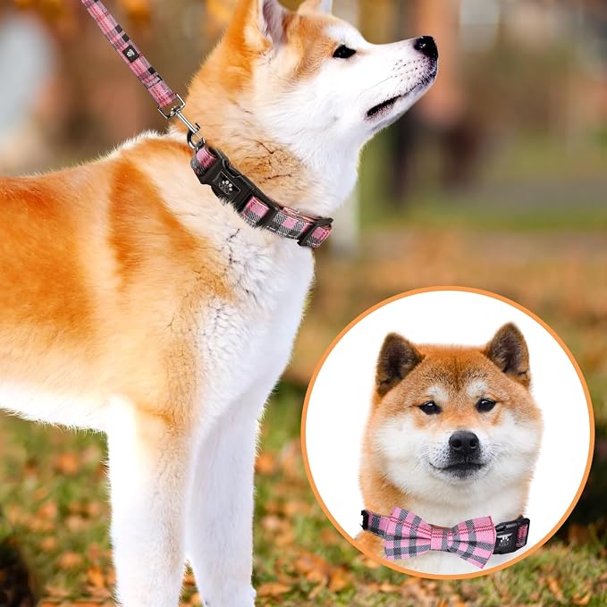 IVY&LANE Dog Collar with Bowtie and Leash Set | Plaid Adjustable Dog Collar | Detachable Bow Tie |5 FT Dog Leash | for Small Medium Large Dogs | Checkered Pink | Small