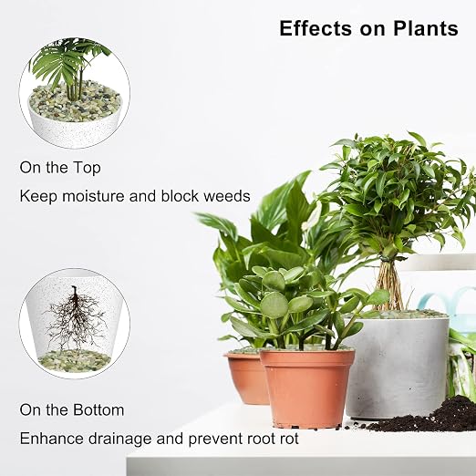GASPRO 10 Pound Pebbles for Indoor Plants, 3/8 Inch Decorative Pebbles for Bamboo, Vase, Succulents, Garden, Landscaping, Highly Polished and Smooth Surface, Jade