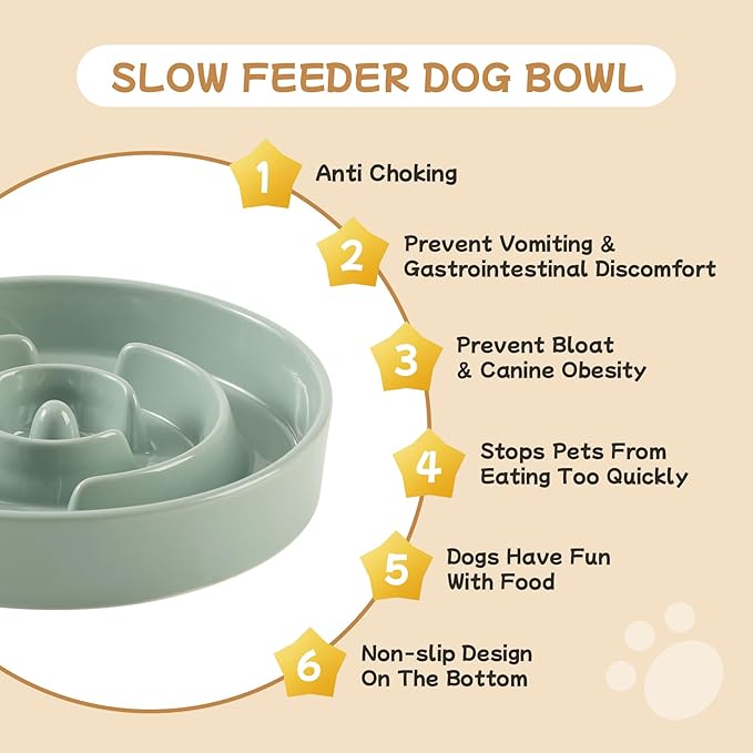 Havniva Ceramic 0.9 Cup Raised Slow Feeder Dog Bowl Set, Elevated 6.1inch Water Bowl and 6.1inch Slow Dish with Wooden Stand for Small Dogs(2 x Light Green+ Stand)