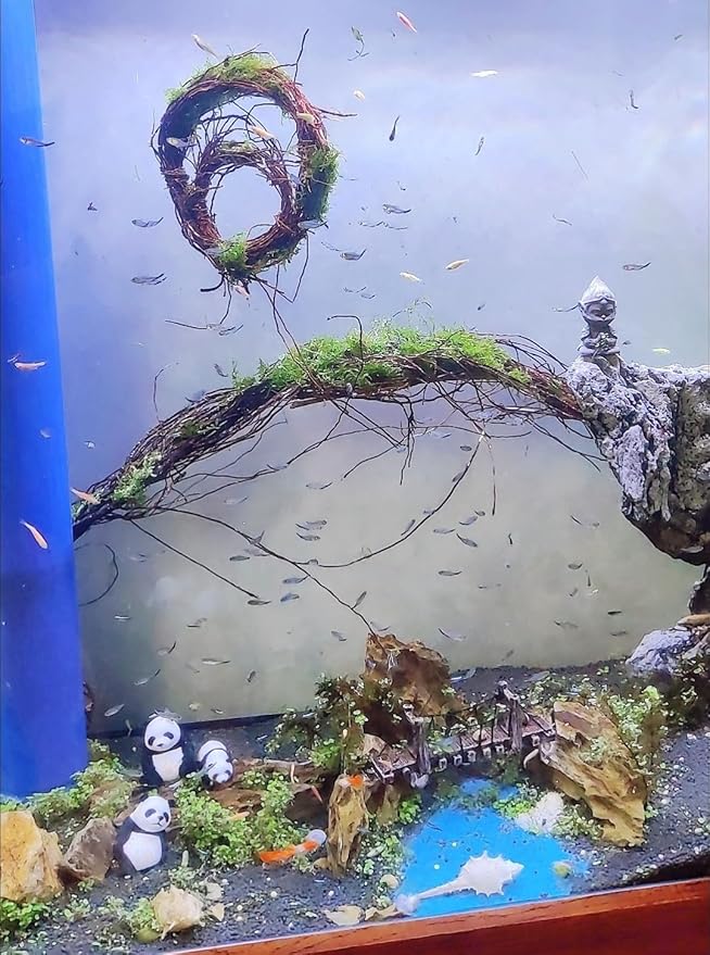 YZHZOM 160g Aquarium Driftwood Roots - Bushy Tank Wood for aquascaping -Perfect for Fry, Shrimp or Terrarium,Natural Wood Roots for Aquarium aquascaping