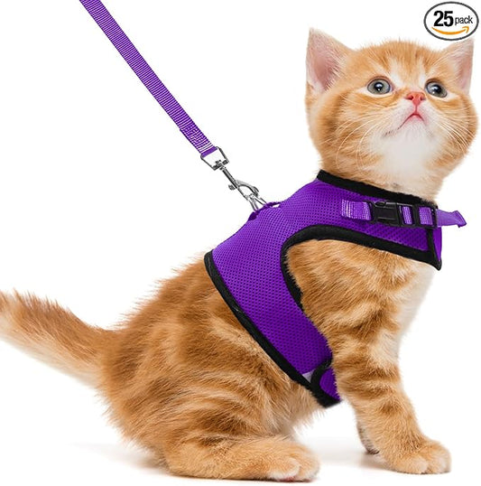 PUPTECK Soft Mesh Cat Vest Harness and Leash Set Puppy Padded Pet Harnesses Escape Proof for Cats Small Dogs Rabbits Bunny
