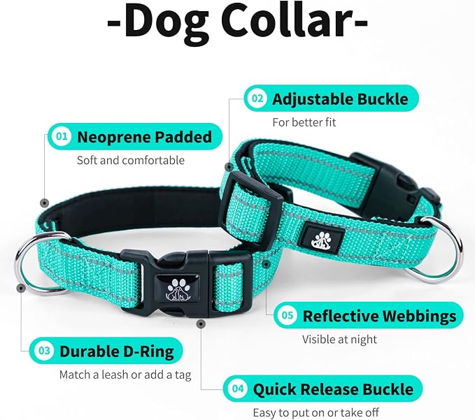 IVY&LANE 2 Pack Reflective Dog Collars and Leashs Set,Adjustable Neoprene Padded Dog Collar for Puppy, Breathable Nylon Pet Collar for Small Medium Large Dogs(Medium,Fuchsia+Teal)