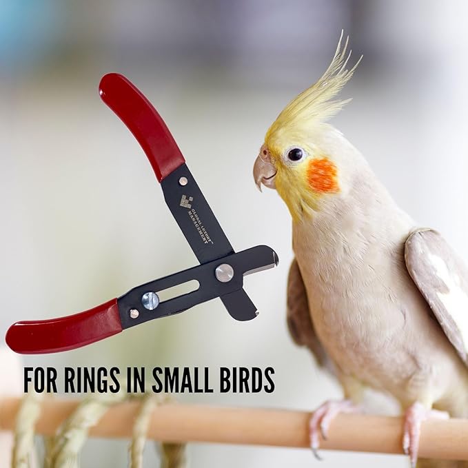 Scissors to Cutting Rings for Aluminum & Plastic Rings - Precision & Safety, for Pigeons, Canaries, Finches, Exotic Birds and Chicken Leg Bands (Red, Black)
