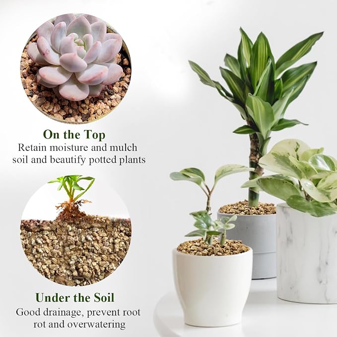 FANTIAN 2 lbs Maifanitum Stone for Plant, 5-8 MM Gravel Rocks for Succulent | Succulent Cactus Soil Potting Mix, Promote Soil Root Growth, Water Drainage and Plant Growth