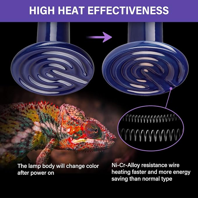 Simple Deluxe 150W 2-Pack Ceramic Heat Emitter Reptile Heat Bulb No Light, LCD Digital Aquarium Thermometer, for Reptile Amphibian, 2 Pack, Royal Blue