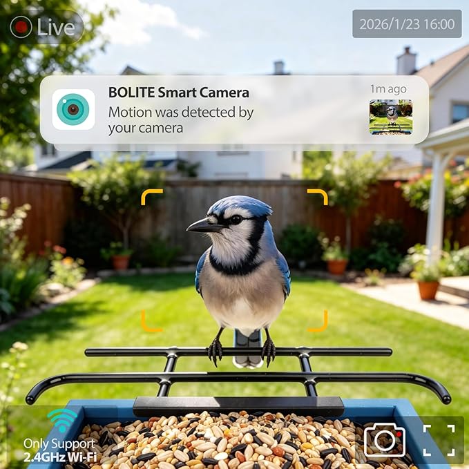 Smart Bird Feeder with Camera 2.5K HD, BOLITE Bird House for Outdoors, AI Auto-Capture & Motion Detection, Weatherproof Camera, Solar Powered, Ideal Gift for Men Women Mom Dad & Bird Lovers, Blue