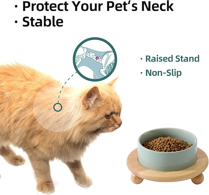 Havniva Raised Cat Water Bowl 5.1” Elevated Ceramic Cat Food and Water Bowl Whisker Friendly Pet Water Bowls for Indoor Cats, Wide Kitten Dish Relieve Whisker Fatigue Non Slip Cat Feeder