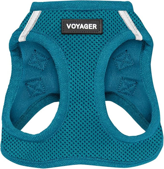 Best Pet Supplies Voyager Step-in Air Harness - All Weather Mesh, Reflective, No Pull Harness for Dogs, Cats - Secure with Hook & Loop Fastener, Buckle, Double D-Rings - Turquoise, XS