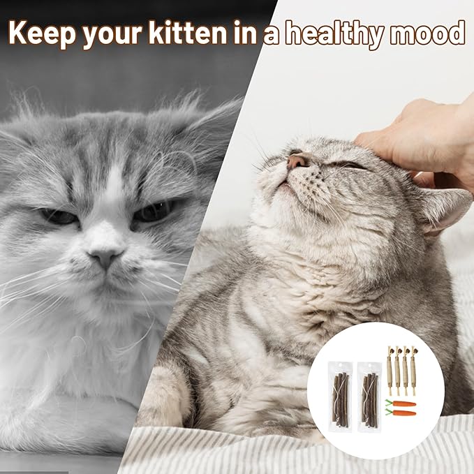 16 PCS Silvervine Sticks for Cats, Dental Chew Tools, Mood Relief for Indoor Cats, Cat Chew Sticks Set with Nice Materials