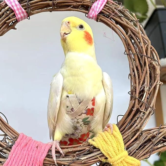 Bird Flight Suits Diapers, Parrot Flight Suits Diapers for Quaker Parakeets Cockatiels Conures Macaw African Grey, Bird Diaper, Parrot Clothes (Purple A,2M)