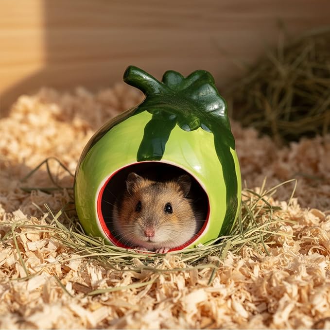 Hypeety Small Animal Hideout Ceramic House Critter Bath House Cave Mini Hut Cage for Hamster (Green)