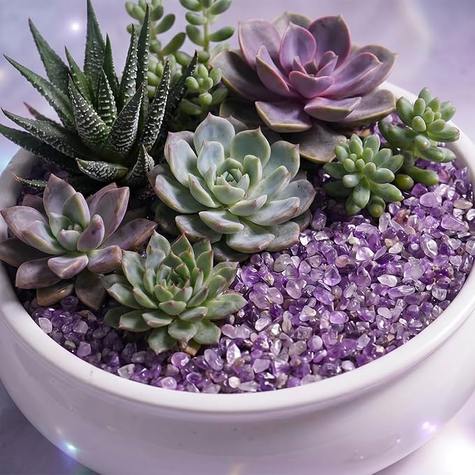 1LB Crystal Chips Stone Amethyst 3-5mm Mini Decorative Rock | Crushed Crystal Quartz Bulk,Irregular Polished Rocks for Fish Tank,Vases Filler,Succulent Plants Decor,Aquarium Gravel Rocks