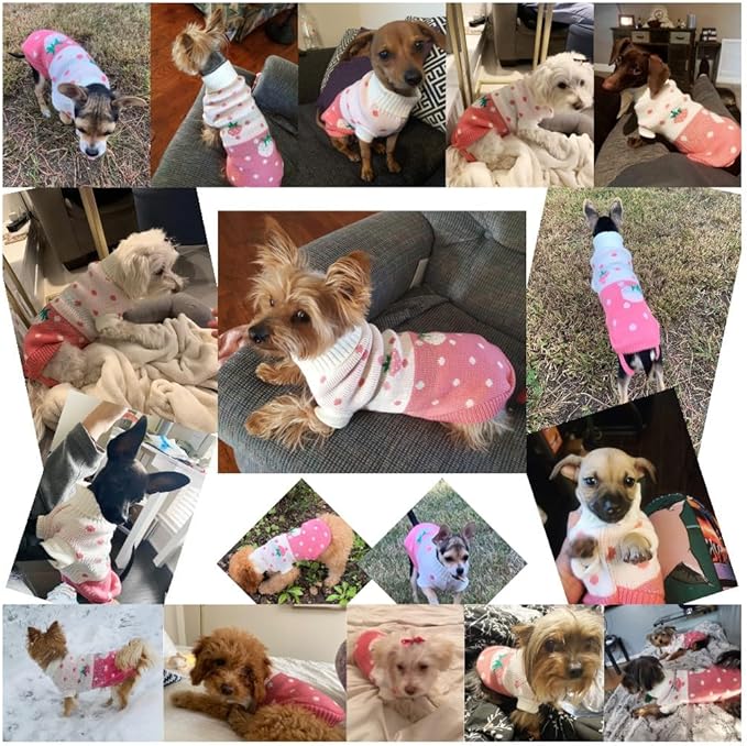 CHBORCHICEN Pet Dog Sweaters Classic Knitwear Turtleneck Winter Warm Puppy Clothing Cute Strawberry and Heart Doggie Sweater (Pink, Large)