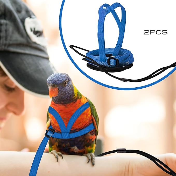 2 pcs Pet Parrot Bird Harness and Leash, Adjustable Training Design Anti-Bite, Outdoor Flying Training Rope Kit for Bird Parrots Fits Birds Chest Between46-76cm /18.11-29.92inch - XL (Blue)