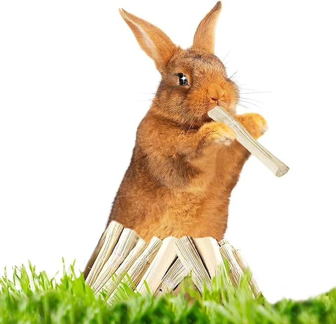 SunGrow Sweet Bamboo Chew Sticks for Rabbits, 2 oz. Bunny Molar Chew Sticks for Guinea Pigs, Chinchillas, Gerbils, Hamsters and Small Animals