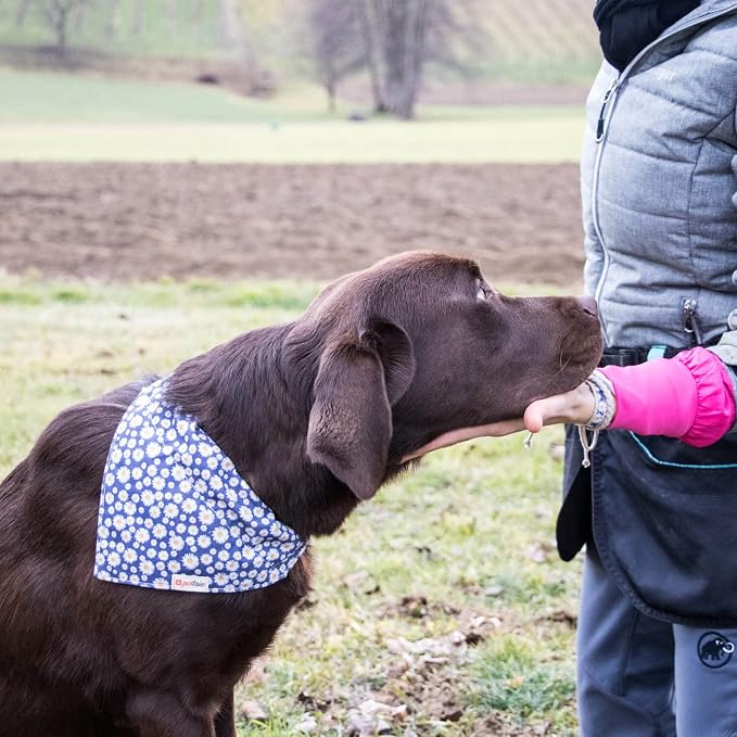 Pettsie Hemp Dog Bandana Collar & Matching Owner Friendship Bracelet | Adjustable, Durable Hemp, Soft & Comfortable, Secure D-Ring, Matching Friendship Bracelet, Blue