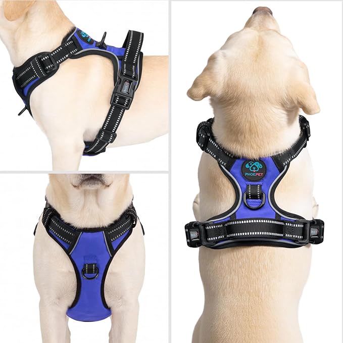 PHOEPET No Pull Dog Harnesses for Small Puppies Reflective Adjustable Front Clip Vest with 2 Metal Leash Attachment Hooks Soft Handle [Over The Head Design](L, Royal Blue)