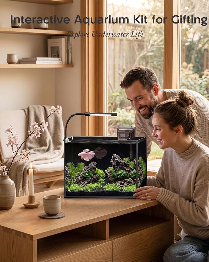 2.5 Gallon Nano Aquarium Starter Kit, Rimless Glass Fish Tank | Leak-Proof Complete Starter Kit for Betta & Goldfish with Filter, Adjustable LED Light, Filtration & Easy Setup