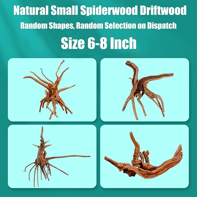 6 Pcs Natural Small Spiderwood Driftwood, 6-8 Inch Assorted Branches Aquarium Fish Tank Reptile Terrarium Landscape Decor