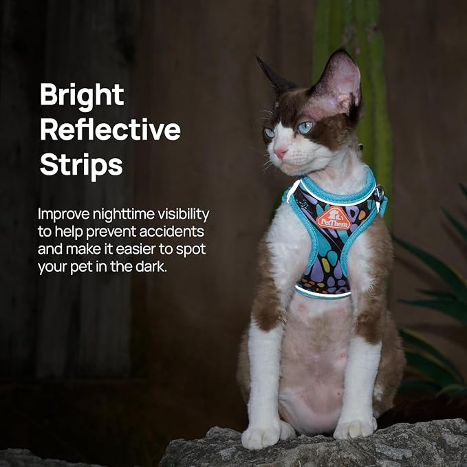 PetThem Upgraded Cat Harness and Leash Set - Step-in Escape Proof Adjustable Cat Harness, Comfortable Soft Lightweight, Reflective Harness for Walking, Travel, Camping (Butterfly Magic, XXS)