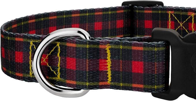 Country Brook Petz - Buffalo Plaid Everyday Dog Collar and Leash - Plaid and Argyle Collection Featuring Charming Designs (1 Inch, Extra Large)