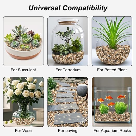 River Rocks, Landscaping Pebbles, Mixed Color Decorative Stones, 5 Pounds | Ornamental Gravel Filler For Flower Bed, Fish Tank, Plants, Vases, Succulents, Home & Garden Landscaping Decoration