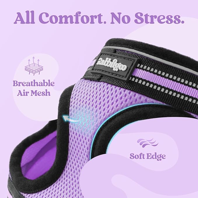 rabbitgoo Cat Harness and Leash Set for Walking Escape Proof, Adjustable Soft Kittens Vest with Reflective Strip for Cats, Comfortable Outdoor Vest, Light Purple, XL