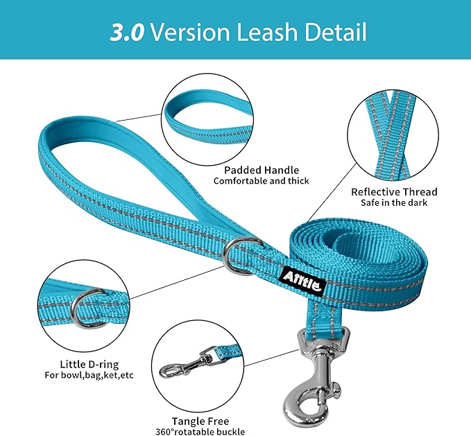 AIITLE Easy Walk Dog Harness and Leash Set - Pet Supply No Pull, Step in Adjustable Dog Harness with Padded Vest, Dog Harness No Choke Over, Easy to Put on Medium Dogs Hot Pink L
